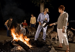 Cairns Night Zoo - Hotel WA