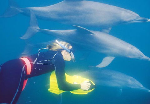 Rockingham Wild Encounters - Hotel WA 1