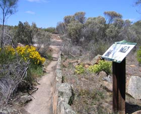 Christmas Rock Walk - Hotel WA 0