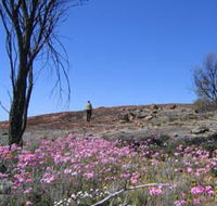 Talgomine Reserve - Hotel WA