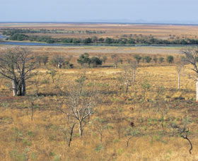 Marglu Billabong - Hotel WA 0