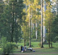 Big Brook Arboretum - Hotel WA