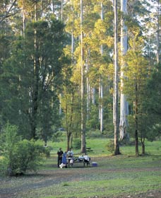 Big Brook Arboretum - Hotel WA 0