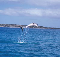 Steep Point - Hotel WA