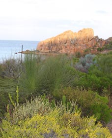 Meelup Trail - Hotel WA 0