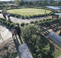 Kojonup Rose Maze - Hotel WA