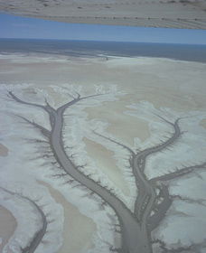 Tidal Flats - Hotel WA 0