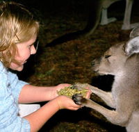 Discovery Bay's Walk on the Wild Side - Hotel WA