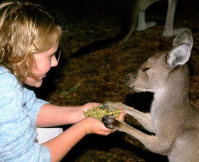 Discovery Bay's Walk On The Wild Side - Hotel WA 0