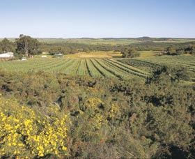 Chapman Valley Scenic Drive - Hotel WA 0