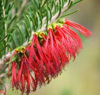 Ethel Daw Scenic Drive - Hotel WA