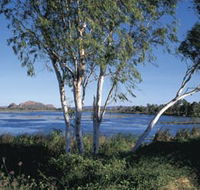 Celebrity Tree Park - Hotel WA