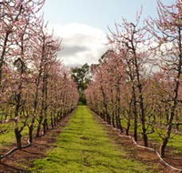 Raeburn Orchards - Hotel WA