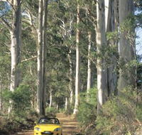 Mount Shadforth Scenic Drive - Hotel WA