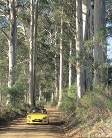 Mount Shadforth Scenic Drive - Hotel WA 0