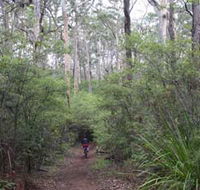 Margaret River Rails Trail - Hotel WA
