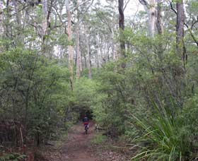 Margaret River Rails Trail - Hotel WA 0