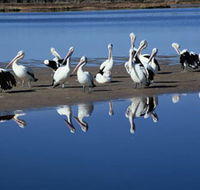Peel Region Canoe Trails - Hotel WA