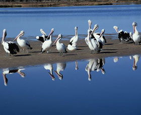 Peel Region Canoe Trails - Hotel WA 0