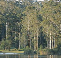 Big Brook Dam - Hotel WA