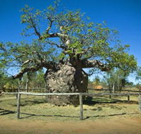 Pigeon Heritage Trail - Hotel WA