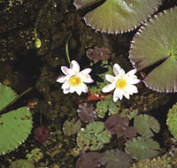 Parry Lagoons Nature Reserve - Hotel WA