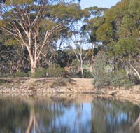 Merredin Railway Dam - Hotel WA