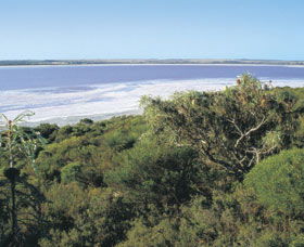 Pink Lake - Hotel WA 0