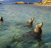 Shoalwater Islands Marine Park - Hotel WA