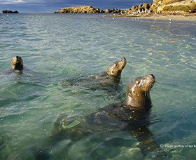 Shoalwater Islands Marine Park - Hotel WA 0