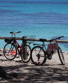 Parker Point Marine Snorkel Trail - Hotel WA 0