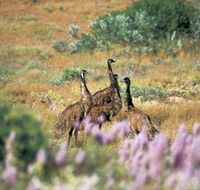 Jurabi Coastal Reserve - Hotel WA