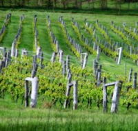 Sienna Estate Winery - Hotel WA