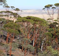 Mount Matilda Walk Trail Wongan Hills - Hotel WA