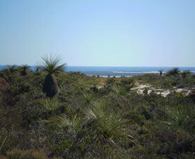 Lesueur National Park - Hotel WA 0
