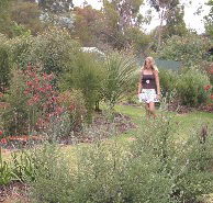 The Mythic Mazes - Hotel WA