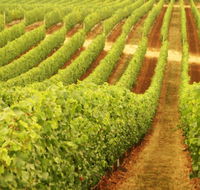 Darlington Estate Winery and Restaurant - Hotel WA