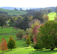 Golden Valley Tree Park - Hotel WA