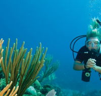 Coastal Water Dive - Hotel WA
