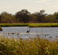 Anytime Adventures in Mandurah  the Peel Region - Hotel WA