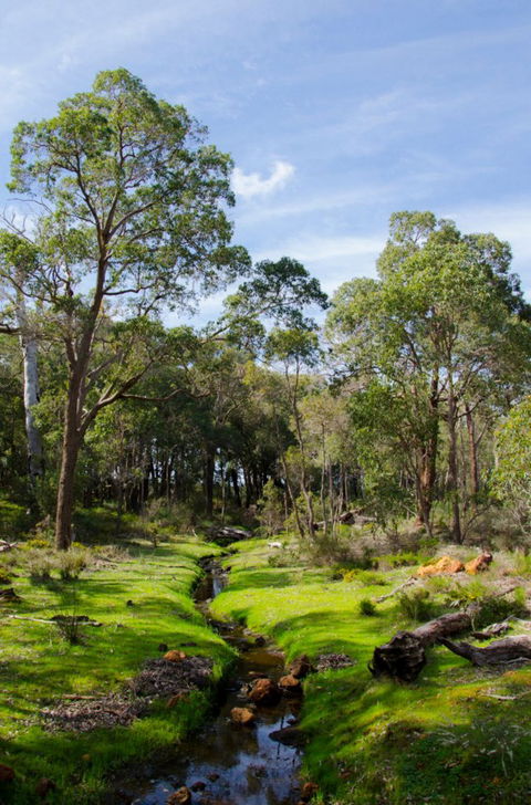 Anytime Adventures In Mandurah & The Peel Region - Hotel WA 11