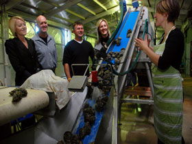 Eyre Peninsula's Seafood Trail - Hotel WA 0