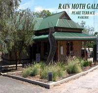 Rain Moth Gallery - Hotel WA