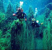 Ewens Ponds Conservation Park - Hotel WA