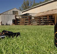 Wilkadene Woolshed Brewery - Hotel WA