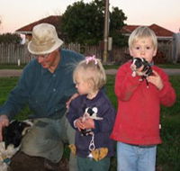 Orrie Cowie Merino and Poll Merino Stud - Hotel WA