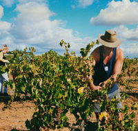 Torbreck Vintners - Hotel WA
