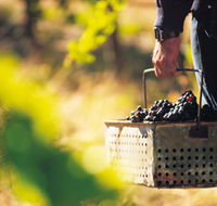 Burge Family Winemakers - Hotel WA