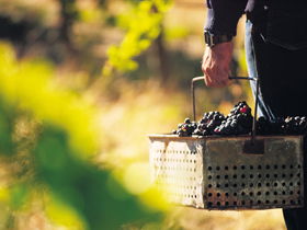 Burge Family Winemakers - Hotel WA 0
