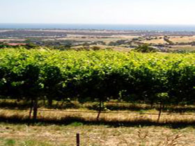 Braydun Hill Vineyard - Hotel WA 0